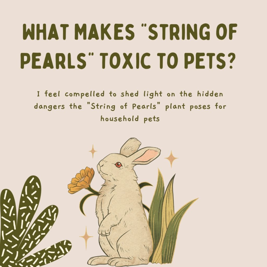 What Makes "String of Pearls" Toxic to Pets? 